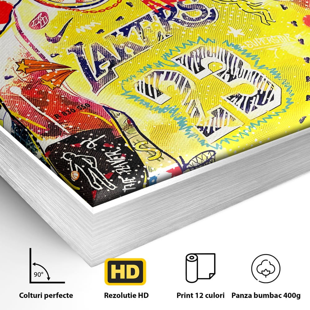 Detaliu al suprafetei: tablou canvas cu portretul lui lebron james, in rama de aluminiu argintiu